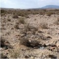 Understanding Your Wilderness (Webinar)