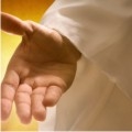Wed To Christ (Audio CD)